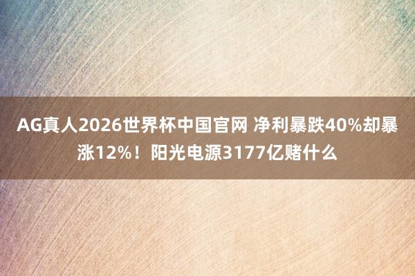 AG真人2026世界杯中国官网 净利暴跌40%却暴涨12%!阳光电源3177亿赌什么