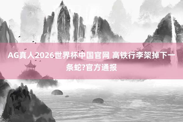 AG真人2026世界杯中国官网 高铁行李架掉下一条蛇?官方通报