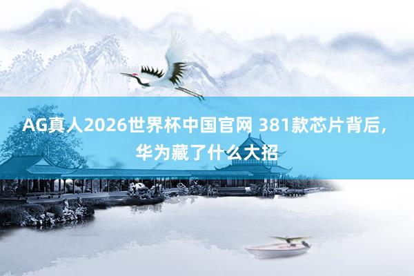 AG真人2026世界杯中国官网 381款芯片背后, 华为藏了什么大招