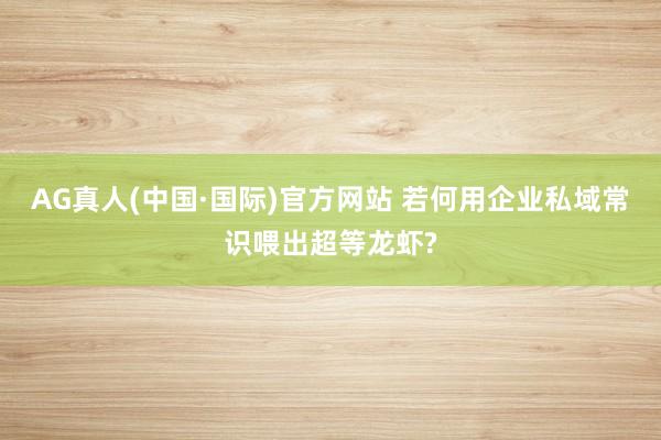 AG真人(中国·国际)官方网站 若何用企业私域常识喂出超等龙虾?