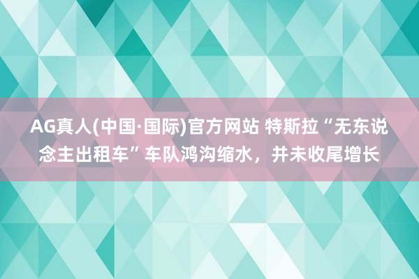 AG真人(中国·国际)官方网站 特斯拉“无东说念主出租车”车队鸿沟缩水，并未收尾增长