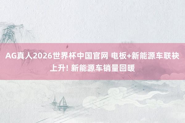 AG真人2026世界杯中国官网 电板+新能源车联袂上升! 新能源车销量回暖