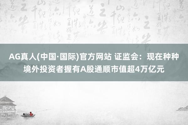AG真人(中国·国际)官方网站 证监会：现在种种境外投资者握有A股通顺市值超4万亿元