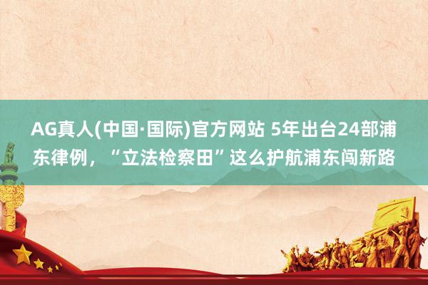 AG真人(中国·国际)官方网站 5年出台24部浦东律例,“立法检察田”这么护航浦东闯新路