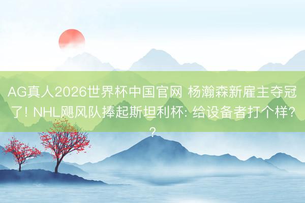 AG真人2026世界杯中国官网 杨瀚森新雇主夺冠了! NHL飓风队捧起斯坦利杯: 给设备者打个样?
