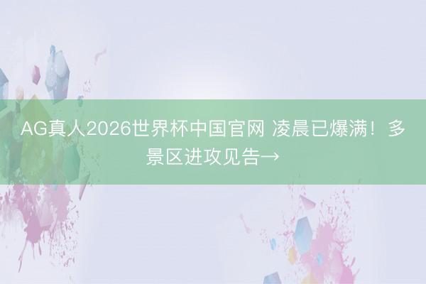 AG真人2026世界杯中国官网 凌晨已爆满！多景区进攻见告→