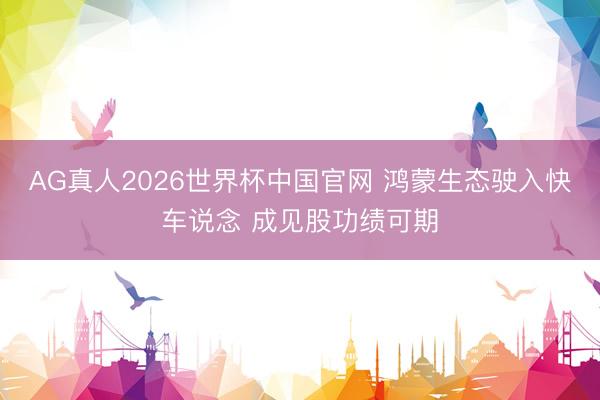 AG真人2026世界杯中国官网 鸿蒙生态驶入快车说念 成见股功绩可期