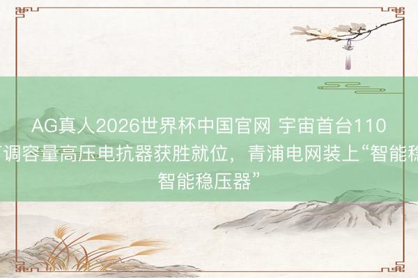 AG真人2026世界杯中国官网 宇宙首台110千伏可调容量高压电抗器获胜就位,青浦电网装上“智能稳压器”