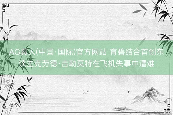 AG真人(中国·国际)官方网站 育碧结合首创东谈主克劳德·吉勒莫特在飞机失事中遭难